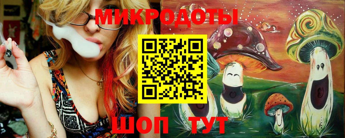 Галлюциногенные грибы Psilocybe  Вход с VPN  Ялта 